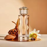 TERIAQ EAU DE PARFUM 100ML - LATTAFA Lattafa