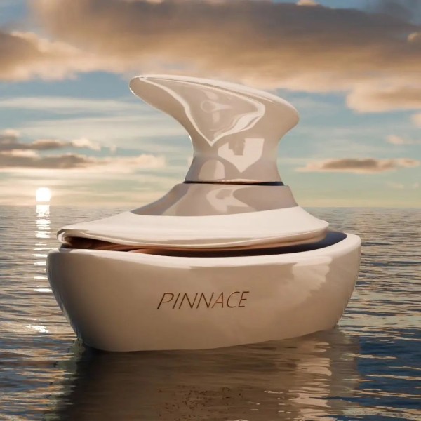 Pinnace 100ml