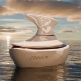 Pinnace 100ml