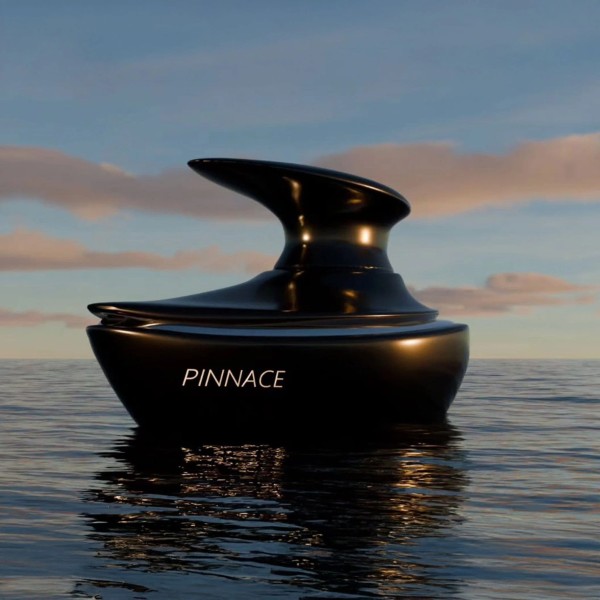 Pinnace Noir 100ml